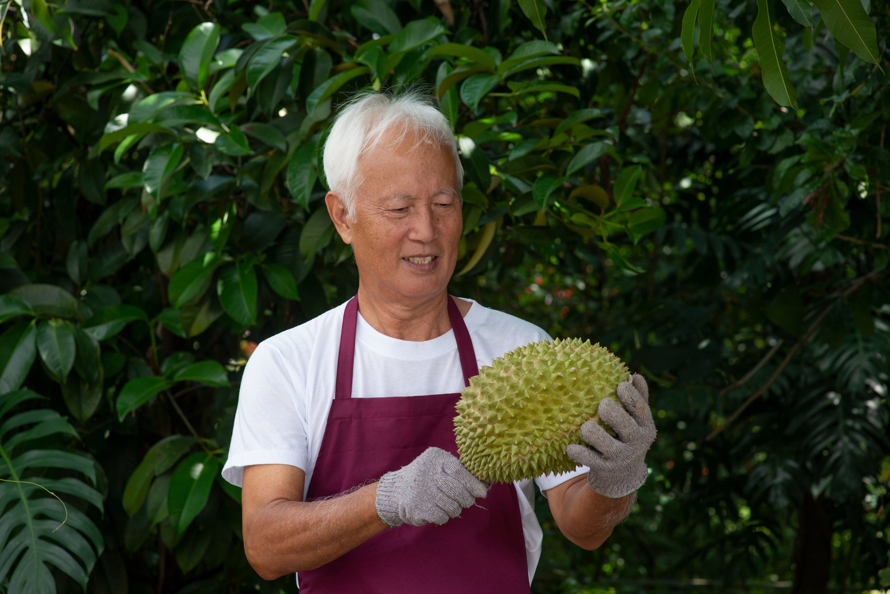 Durian Boat offer an immersive experience into the daily life of a dur ...