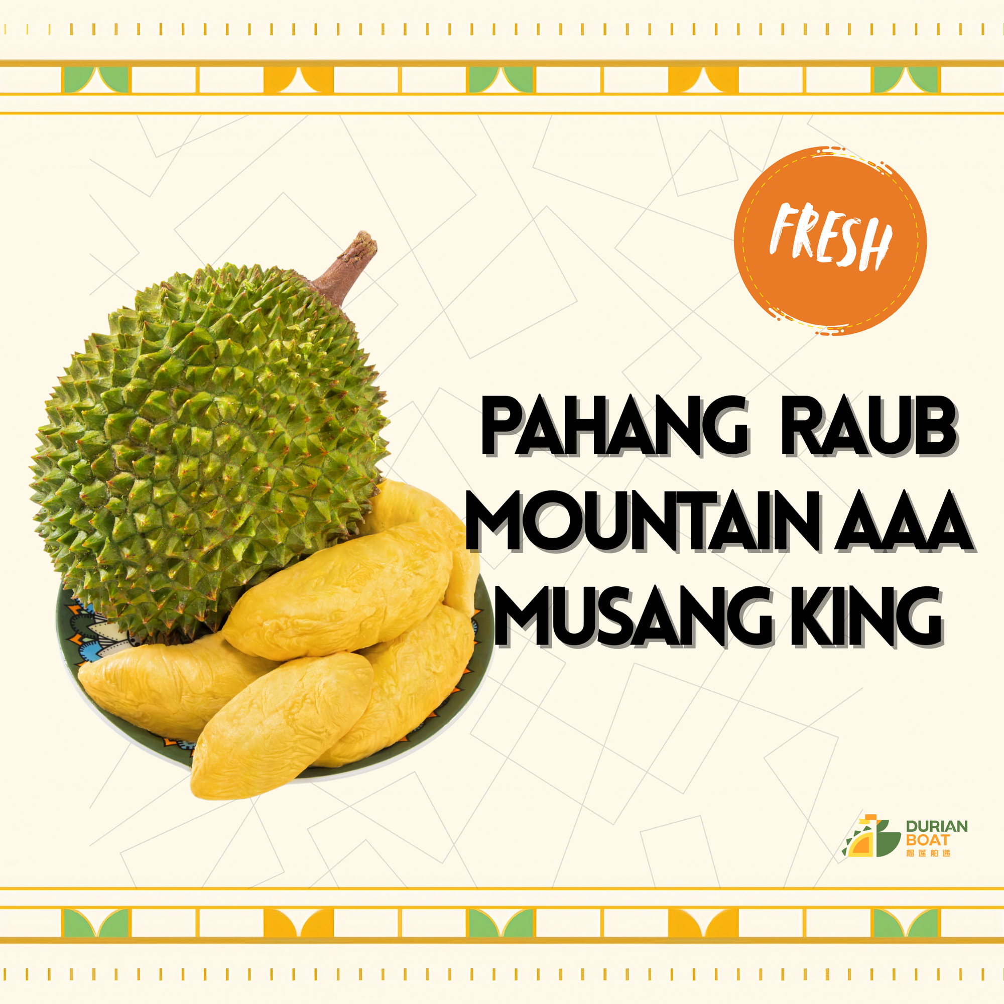 Pahang Raub Mountain AAA Musang King
