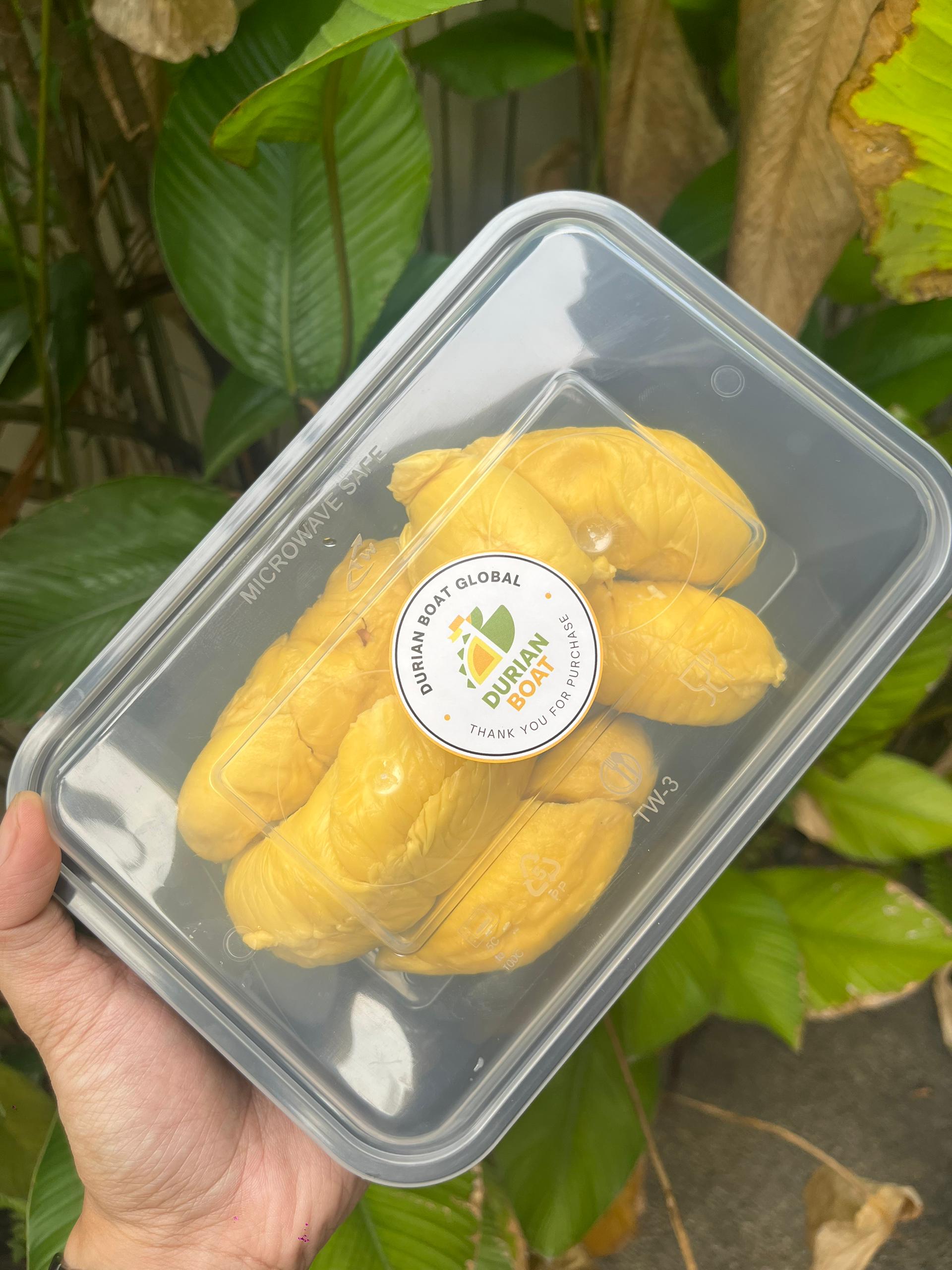 Pahang Raub Mountain AAA Musang King