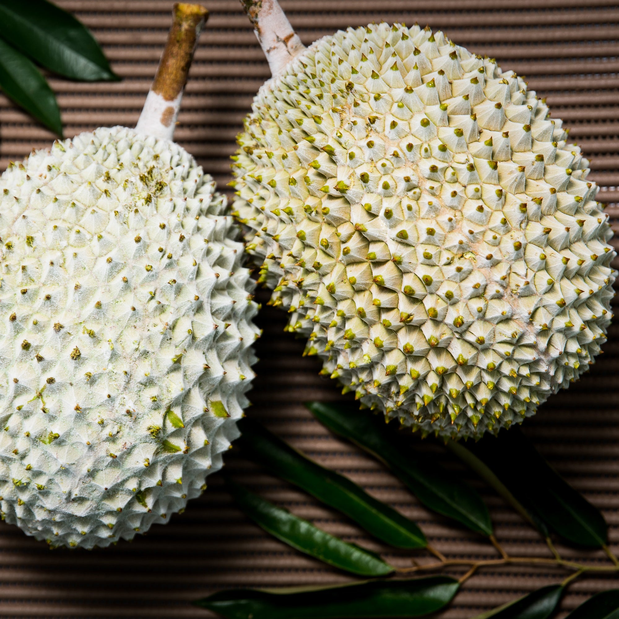 10KG - Musang King Durian With Shell